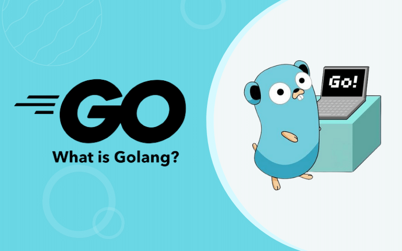 Linguagem de Programação Golang: Características, Usos e Por Que Aprender